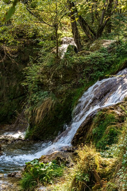 세르비아의 Zlatibor 산에서 Gostilje 폭포에서보기