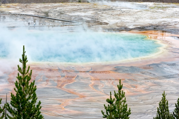 옐로스톤의 그랜드 프리즘 스프링(Grand Prismatic Spring)의 전망