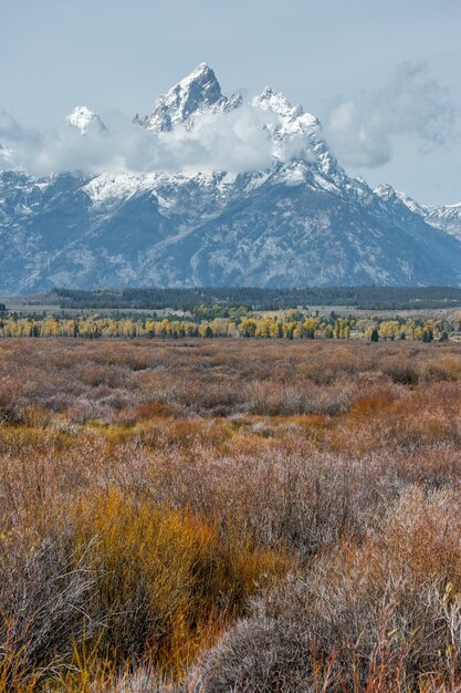 View of the Grand Teton Mountain Range