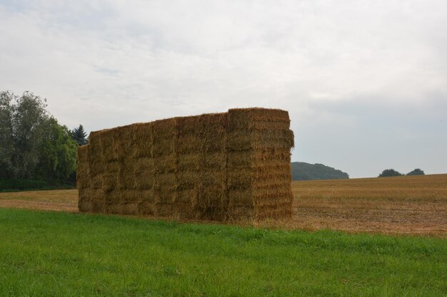 View of grassy field against cloudy sky