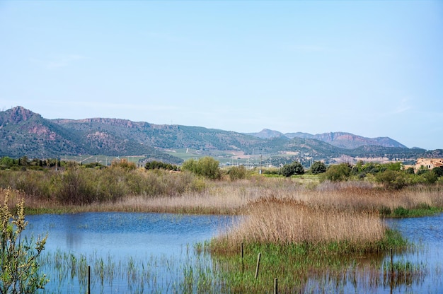View of a grassy pond with mountains in the background