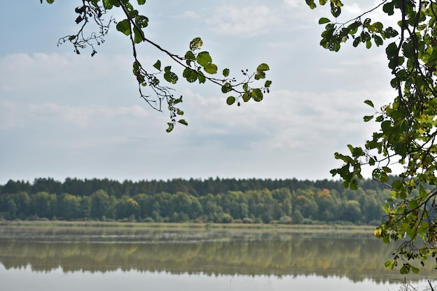 View of the great autumn forest lake
