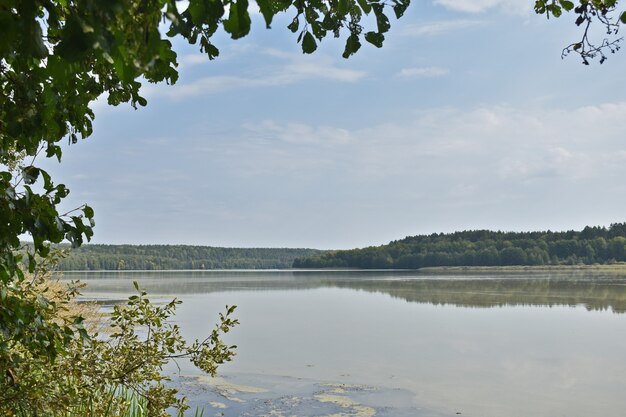 View of the great autumn forest lake