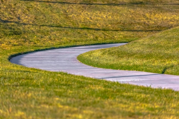 Photo view of green landscape