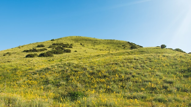 Photo view of the green mountain and blue sky