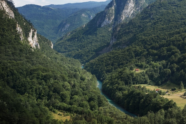 View of the green mountains and the mountain river from above.