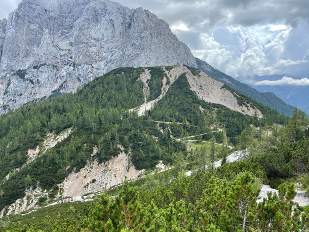 Photo view of green valley down slovenian alps on the way to mala mojstrovka