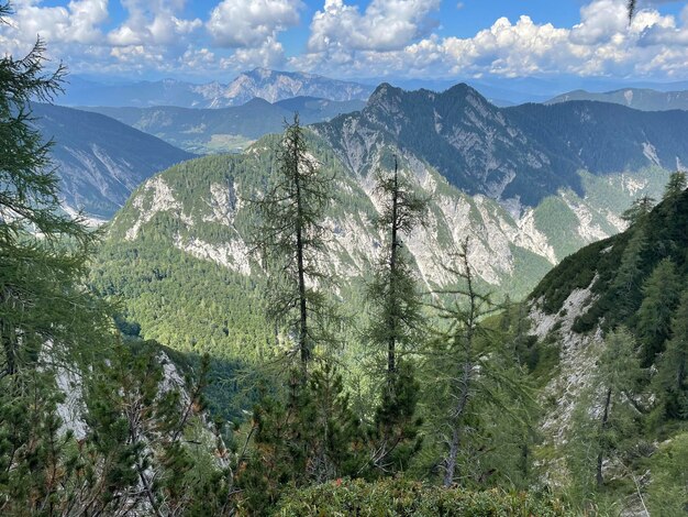 Photo view of green valley down slovenian alps on the way to mala mojstrovka