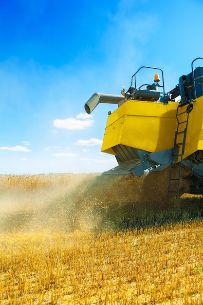 Vista sulla macinazione del grano al raccolto