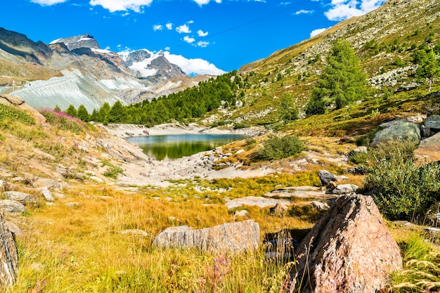 View of the Grunsee lake near Zermatt in Swiss Alps