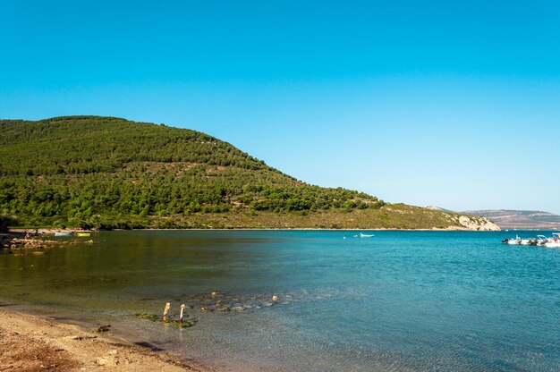 View of gulf and beach of Tramariglio