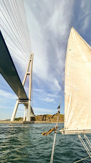 View of the high cablestayed bridge from below