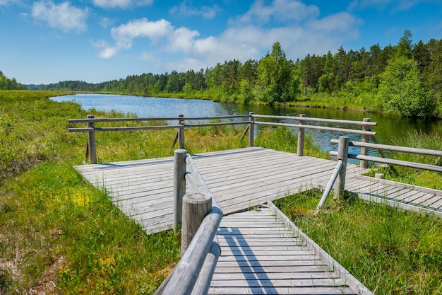 View of the hiking trail with observation deck and lake during summertime