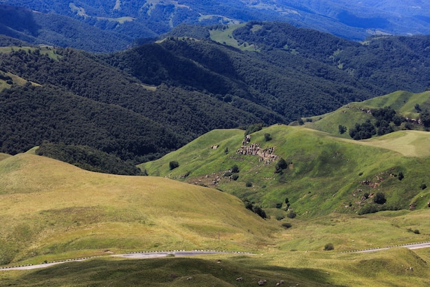 View of the hills and meadows overgrown with grass