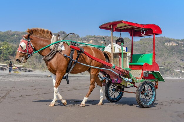 空に照らされたビーチの馬車の景色