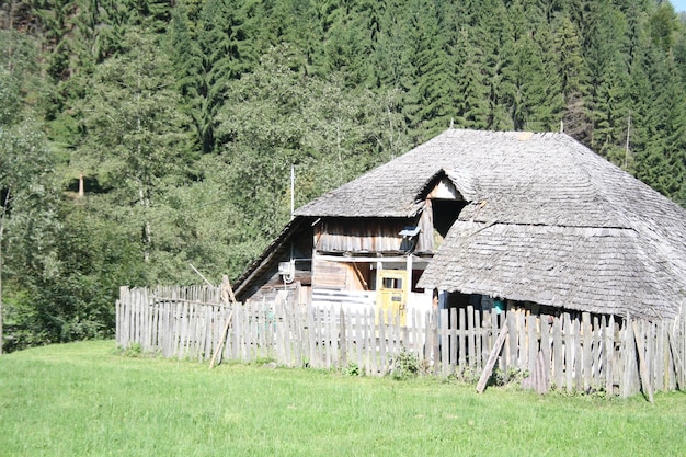 View of house