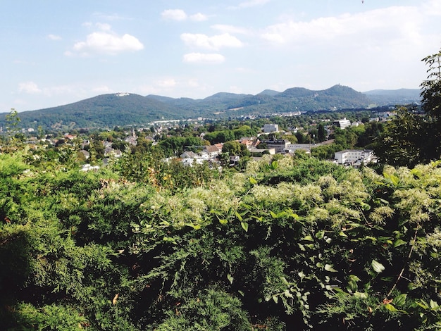 樹木に囲まれた村の家の景色