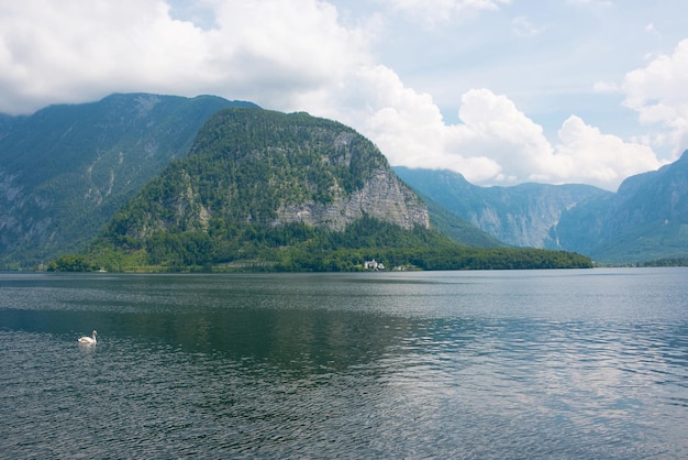 写真 牧歌的なアルプスの山々と湖をご覧ください。ハルシュタット、オーストリア、ヨーロッパの町で晴れた夏の日