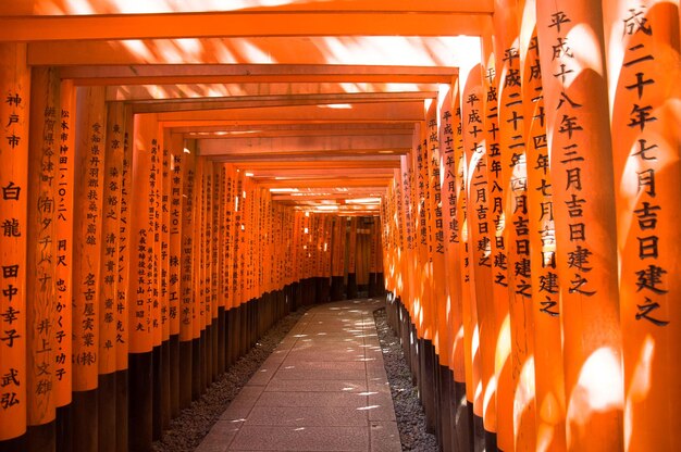 View of illuminated lanterns in temple