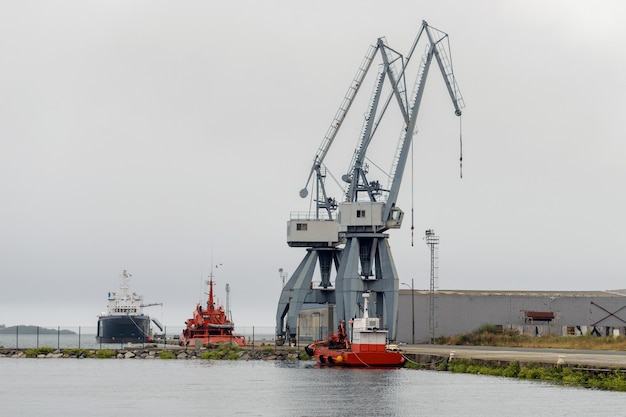 View of Industrial harbor cranes in the seaport