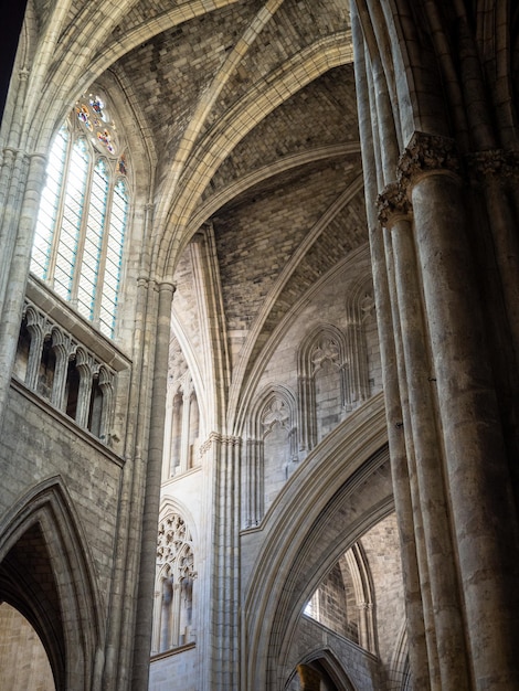 Photo view inside of st andre cathedral