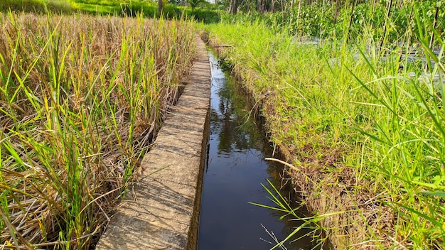 view of irrigation to irrigate rice fields in indonesia