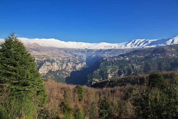 La vista sulla valle di kadisha, in libano