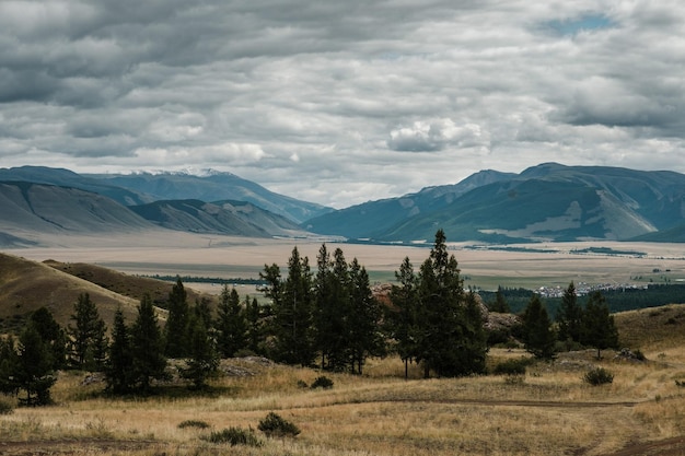 View of the Kurai steppes in the Altai Mountains