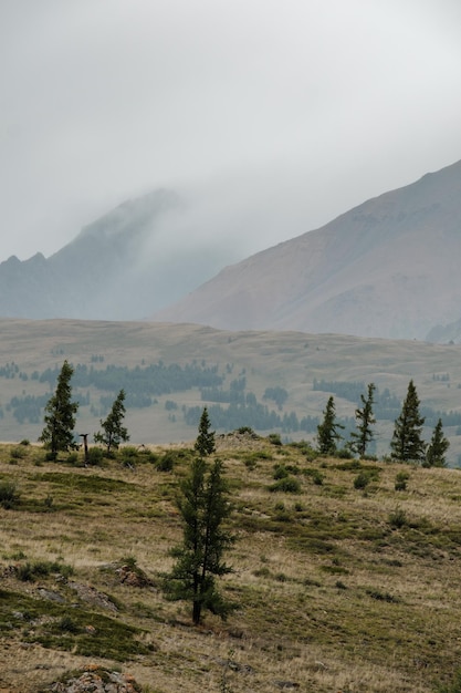 View of the Kurai steppes on Chuisky Trakt in the Altai Mountains