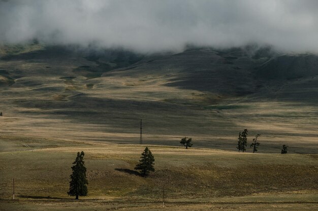 View of the Kurai steppes on Chuisky Trakt in the Altai Mountains