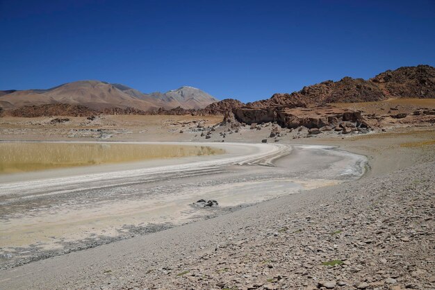 View of the laguna grande in the puna argentina