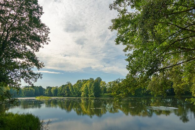 Photo view of the lake among the lush green trees in the forest trees grow along the river and are reflected in the clear water natural landscape in the forest river in the forest uncontaminated nature