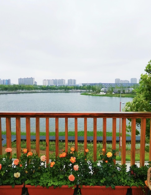 A view of a lake and a fence with flowers on it.