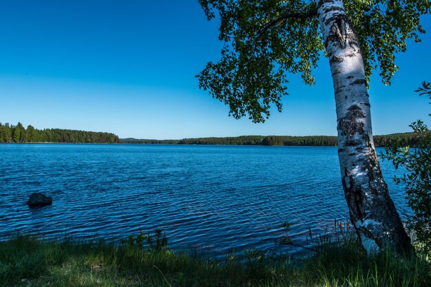 View of the lake from the shore