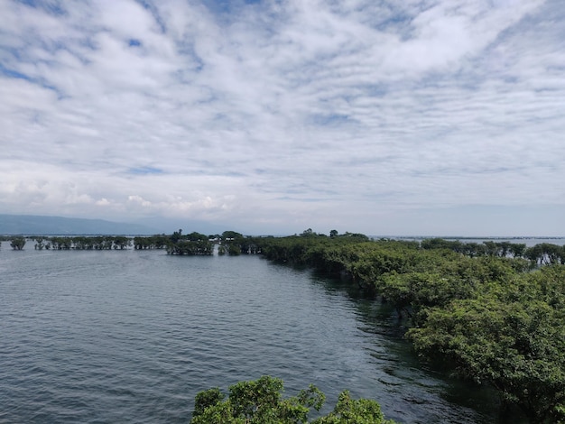 A view of the lake from the top of the hill