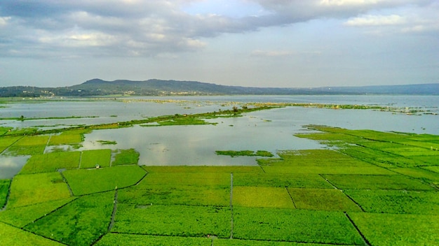 背景の湖と山の景色