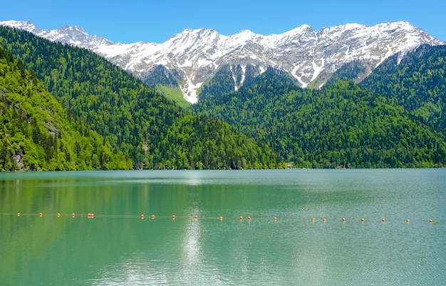 春、雪をかぶった山々のアブハジアのリツァ湖（リザ）のビュー