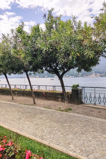 view on the lake seaside landscape seaside walking travel