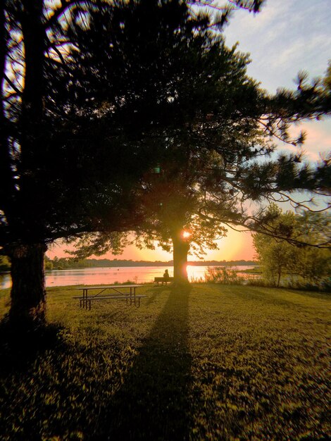 Foto guarda il lago con la bellissima prateria al tramonto