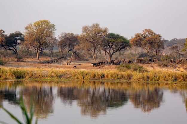 Photo view of a lake