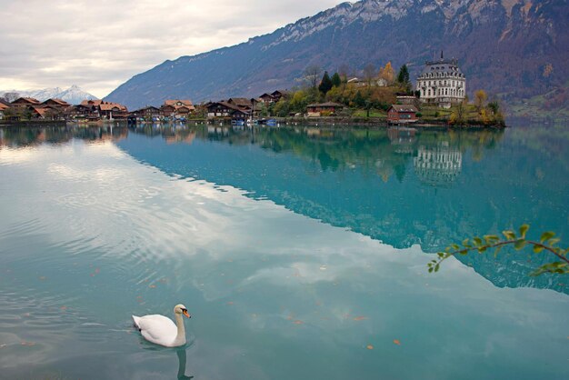 Photo view of a lake