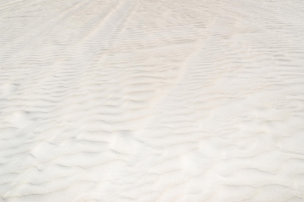 서호주 란슬린 사구(Lancelin Sand Dunes) 전경