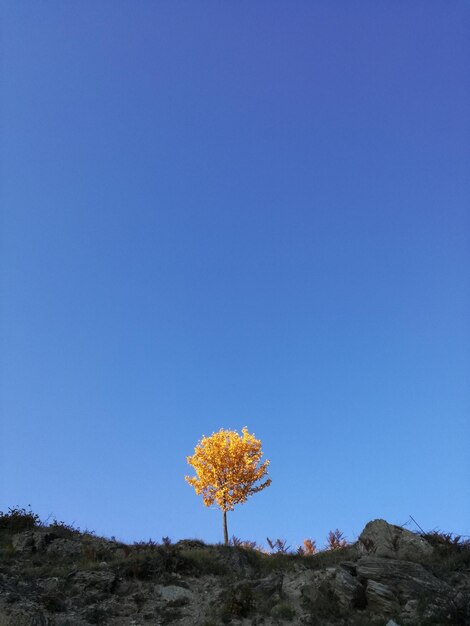 View of landscape against clear blue sky