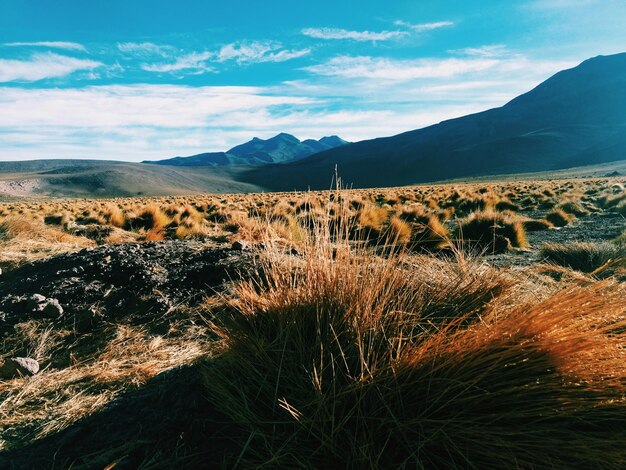 Photo view of landscape against sky