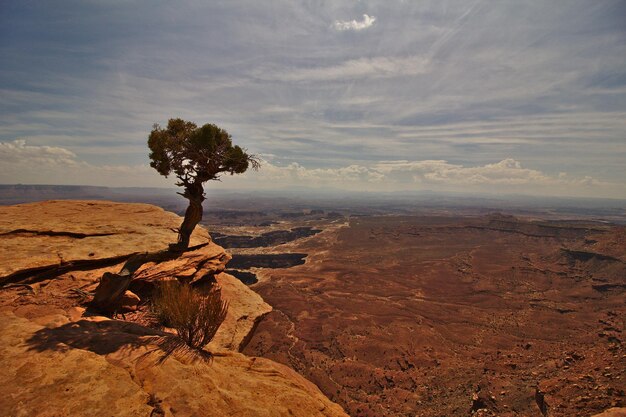 View of landscape against sky