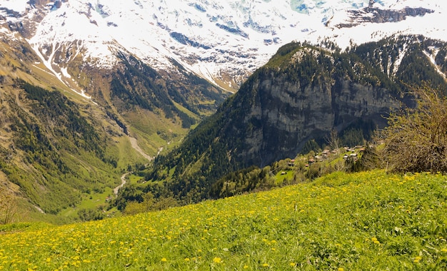 스위스의 gimmelwald & murren 마을에서 알프스의 풍경보기