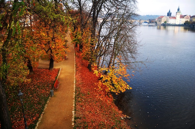 プラハ市とヴルタヴァ川の風景の街並みを眺めるチェコの人々のための庭の公共公園で秋秋にプラハチェコ共和国でリラックス旅行訪問朝の時間を歩く外国人旅行者
