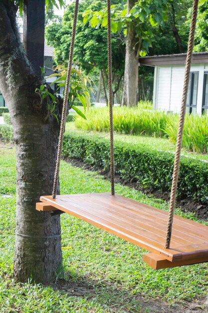 View landscape tree plant in public park, stock photo