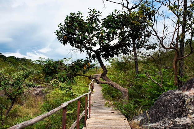 View landscape with mountain forest of khao lon adventure for\
thai people and foreign travelers travel visit rest relax hiking\
trekking on viewpoint in jungle at sarika city in nakhon nayok\
thailand