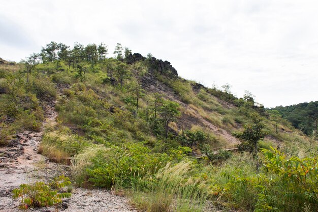 View landscape with mountain forest of khao lon adventure for\
thai people and foreign travelers travel visit rest relax hiking\
trekking on viewpoint in jungle at sarika city in nakhon nayok\
thailand